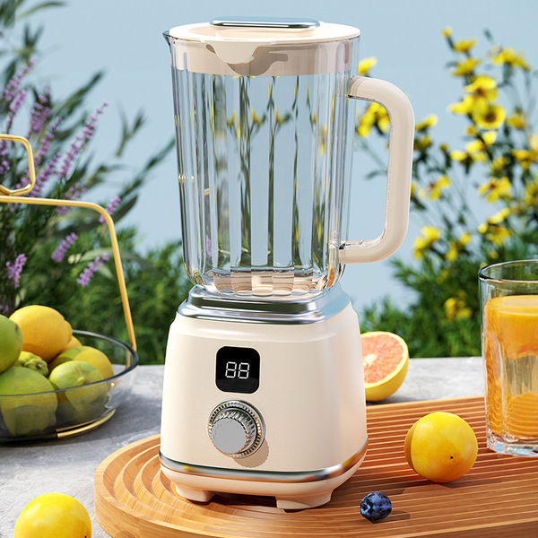 Fruit and Vegetable Juicer